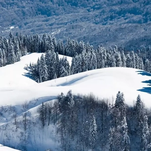 官方裸体插插插插插插
