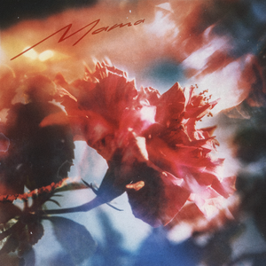 官方裸体插插插插插插
