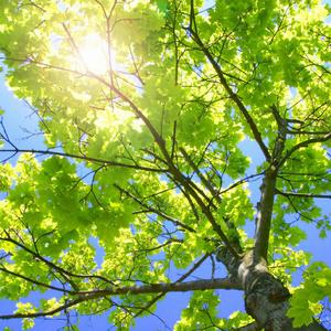 官方裸体插插插插插插
