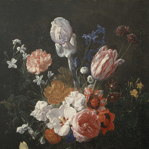 官方裸体插插插插插插
